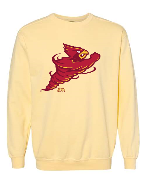 ✨✨Cyclone sweat shirts Mサイズ トレーナー Cynado Iowa State Pigment-Dyed Crewneck Sweatshirt – Cyclone