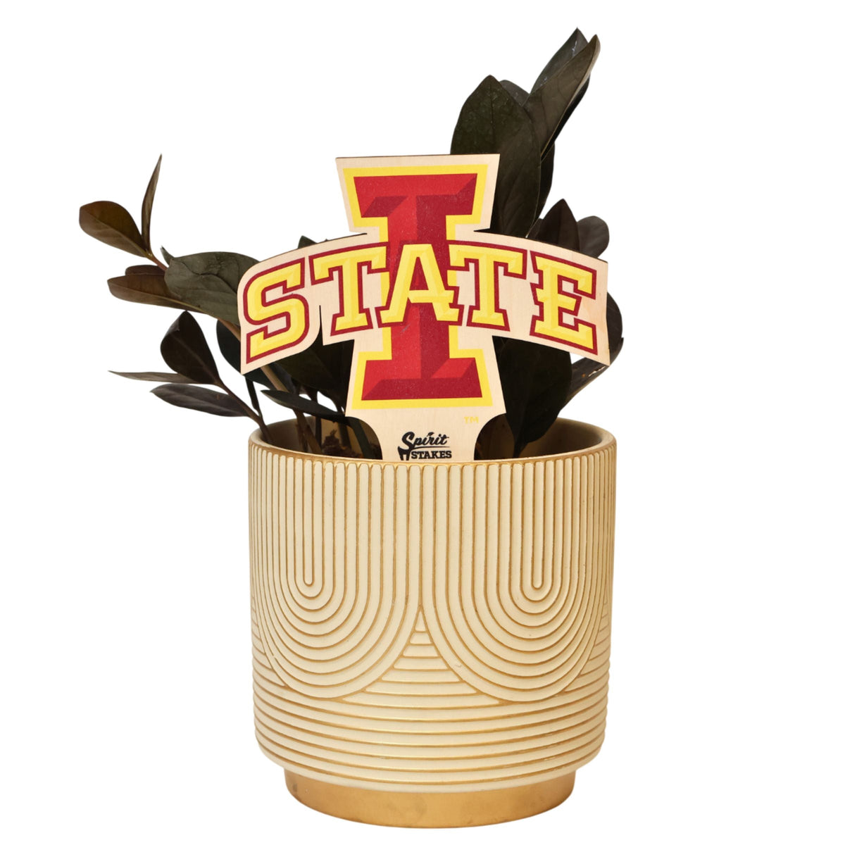 Iowa State University Color Plant Stake