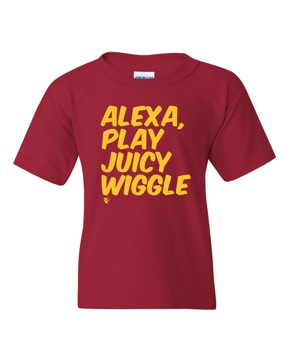 cyclonefanaticshop.com