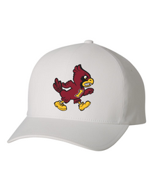 Walking Cy Flexfit Delta Cap