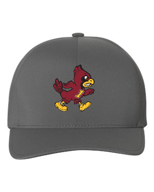 Walking Cy Flexfit Delta Cap