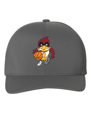 Basketball Cy Flexfit Delta Cap