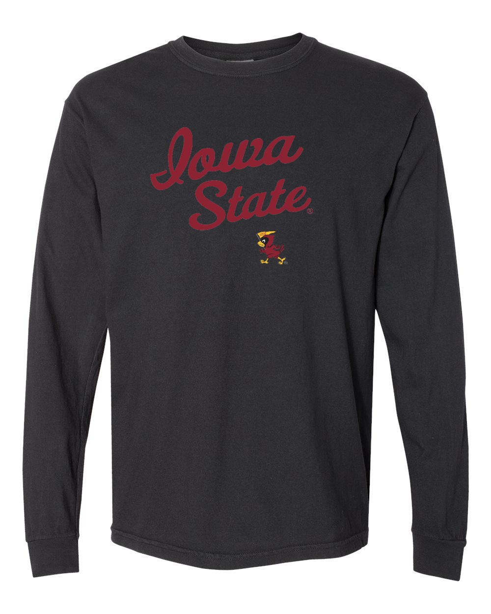 Vintage Iowa State Ringspun Cotton Long Sleeve T-Shirt