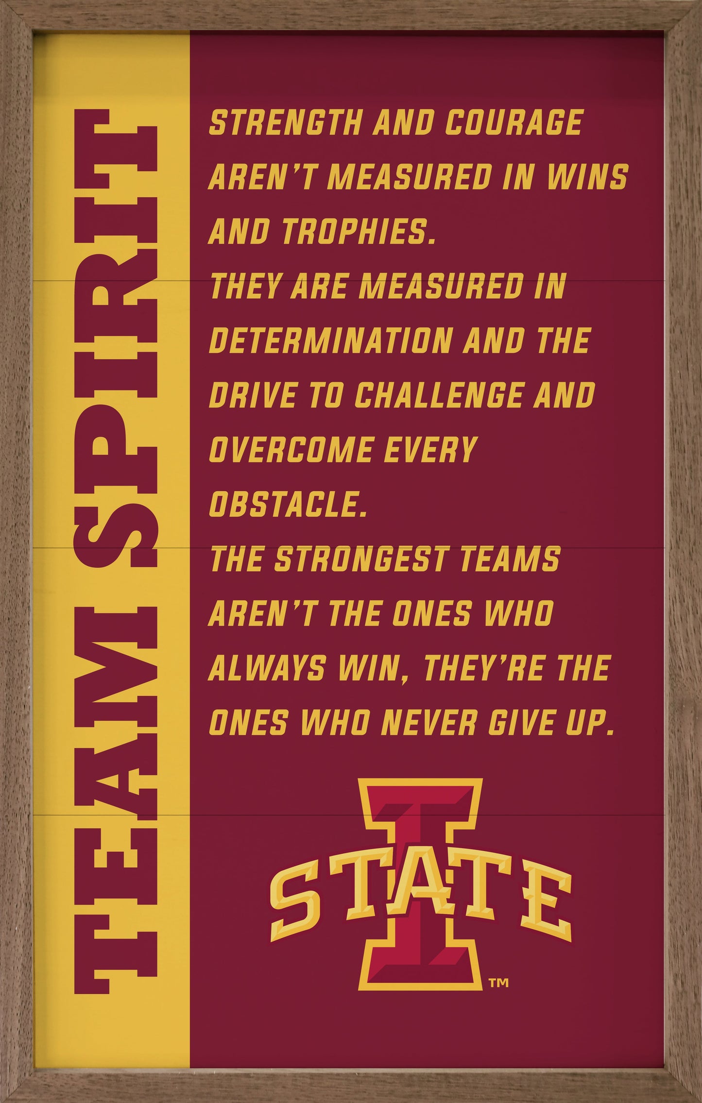 Team Spirit Iowa State University
