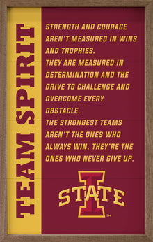 Team Spirit Iowa State University
