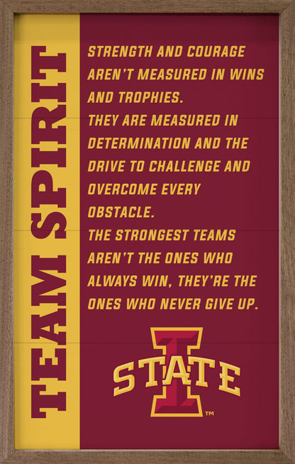 Team Spirit Iowa State University