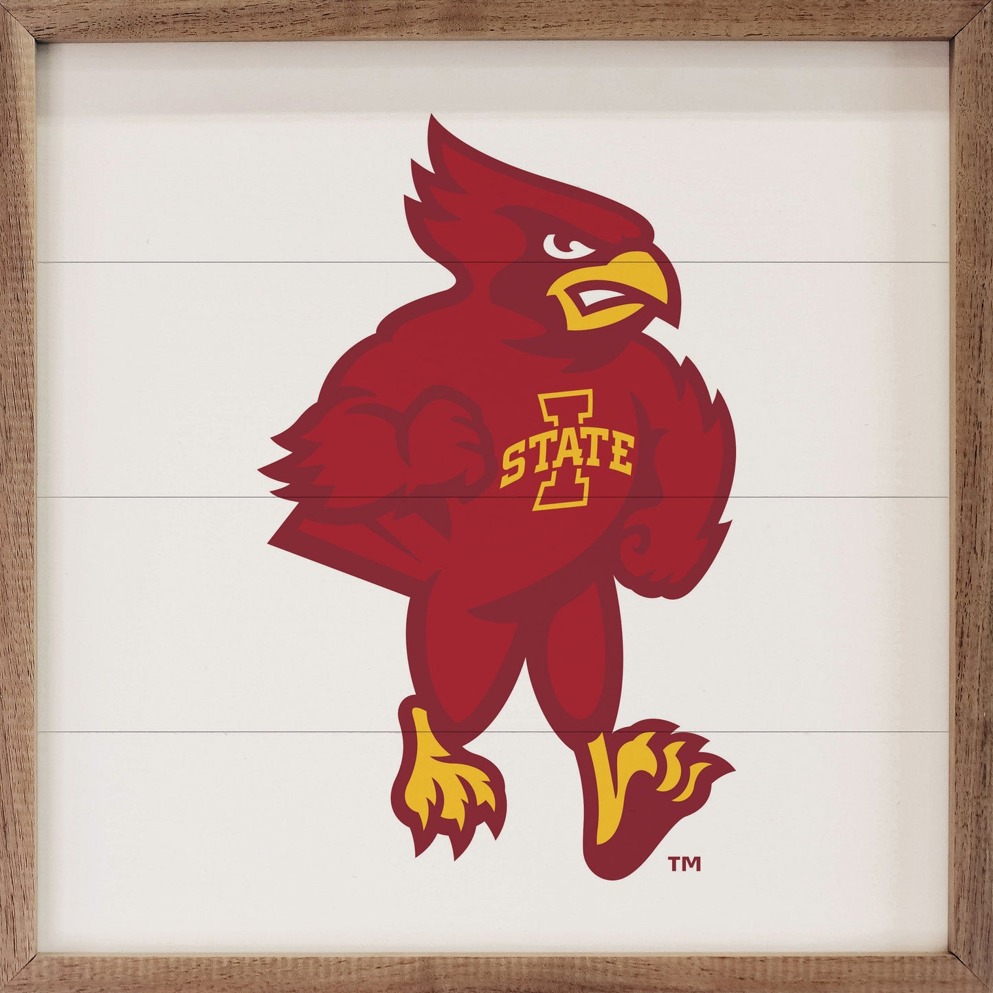 Bold Mascot Iowa State University