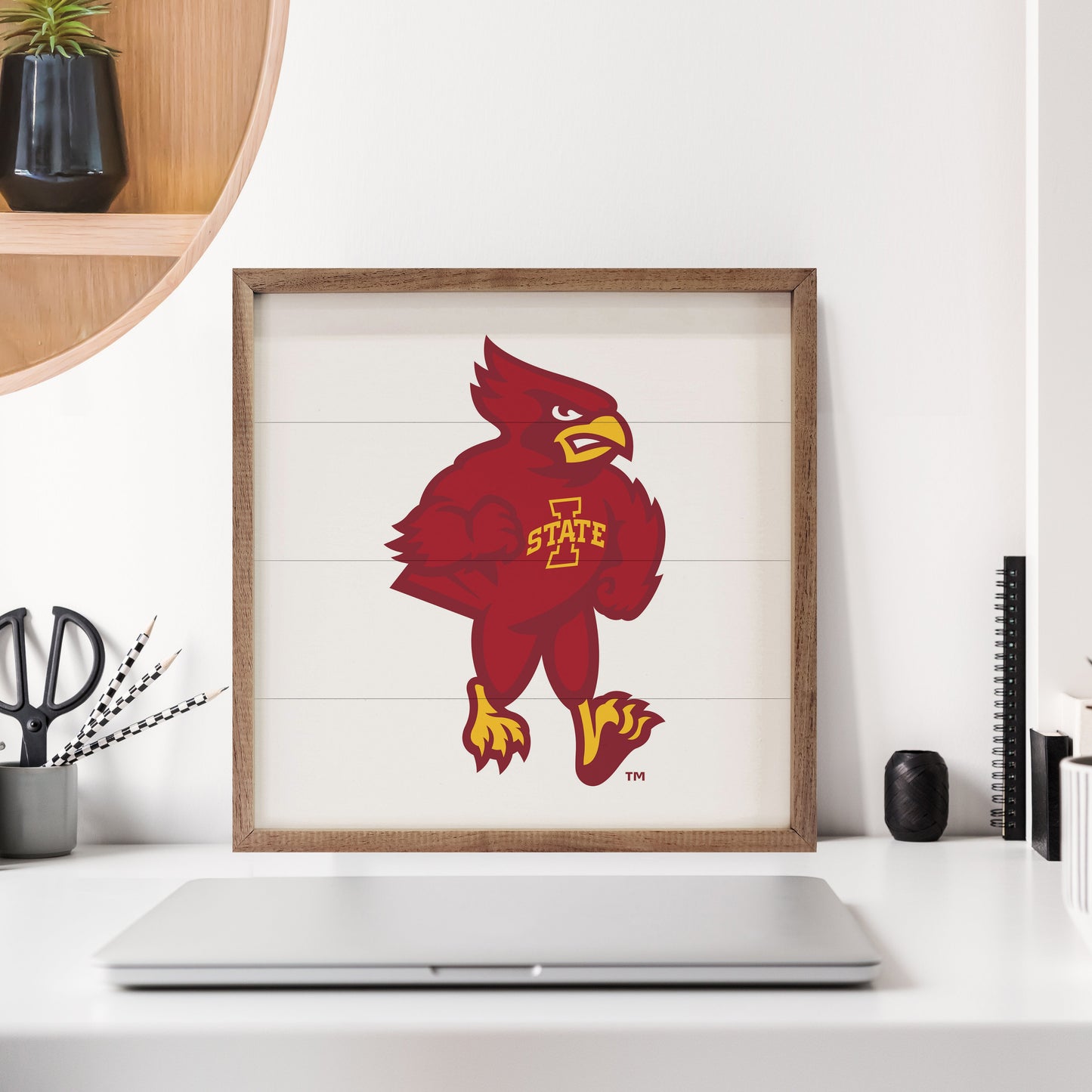 Bold Mascot Iowa State University