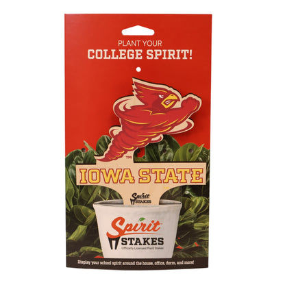 Iowa State Cyclones Color Plant Stake