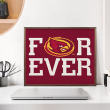 Forever Iowa State University