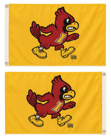 Angry Cy Flag 2x3 Yellow 2 Sided