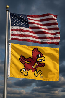 Angry Cy Flag 2x3 Yellow 2 Sided