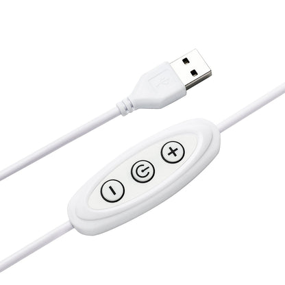 Iowa State Cyclones LED Neon Sign