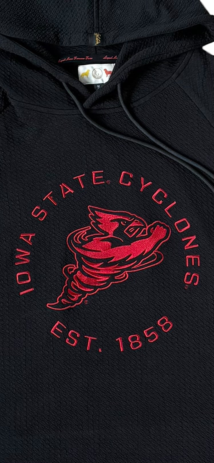 Punching Cy Legacy Hoodie - Black/Cardinal