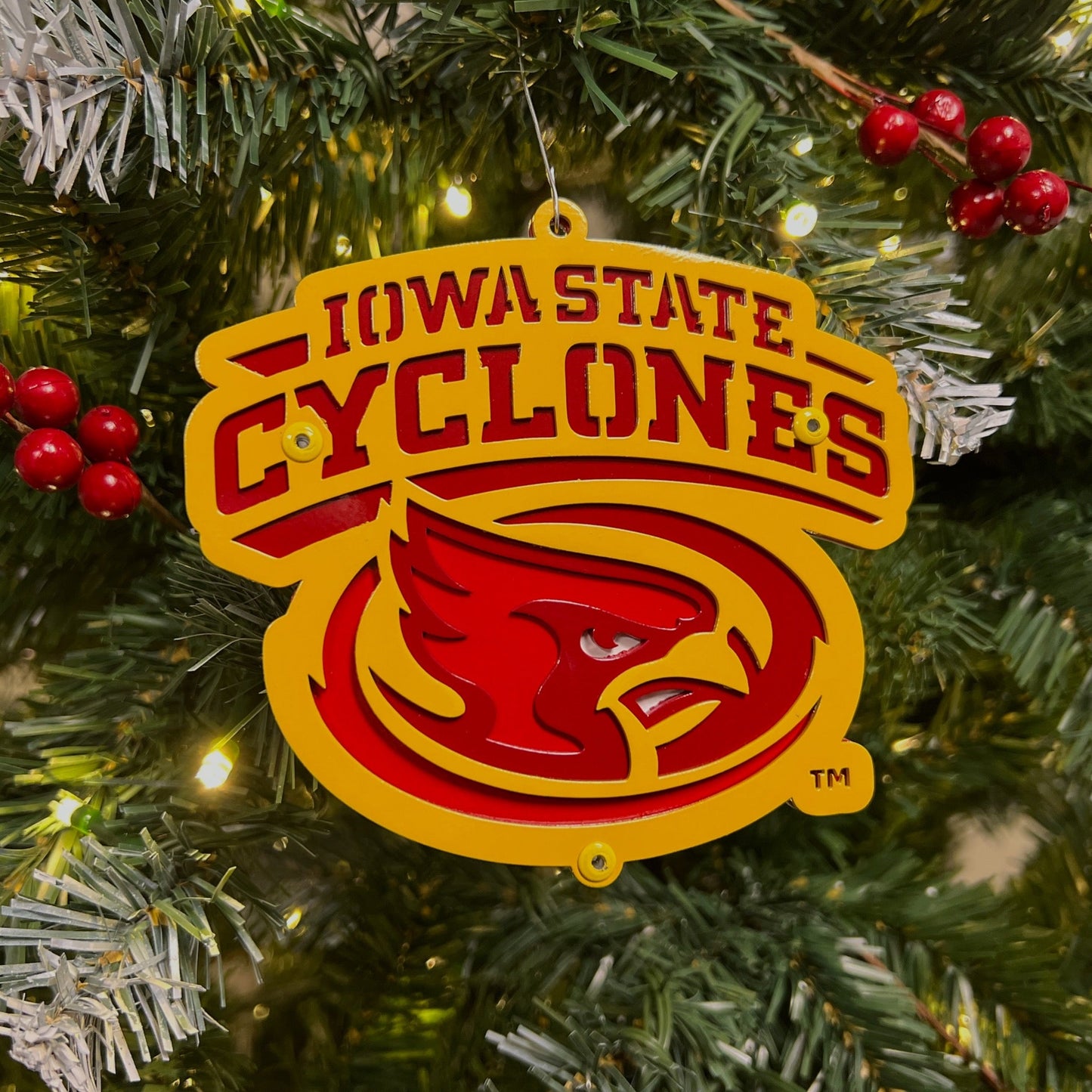 Iowa State Cyclones Modern CY Head Magnet/Ornament