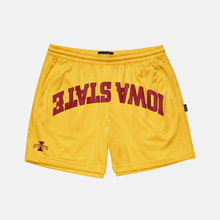 Iowa State Mesh Shorts