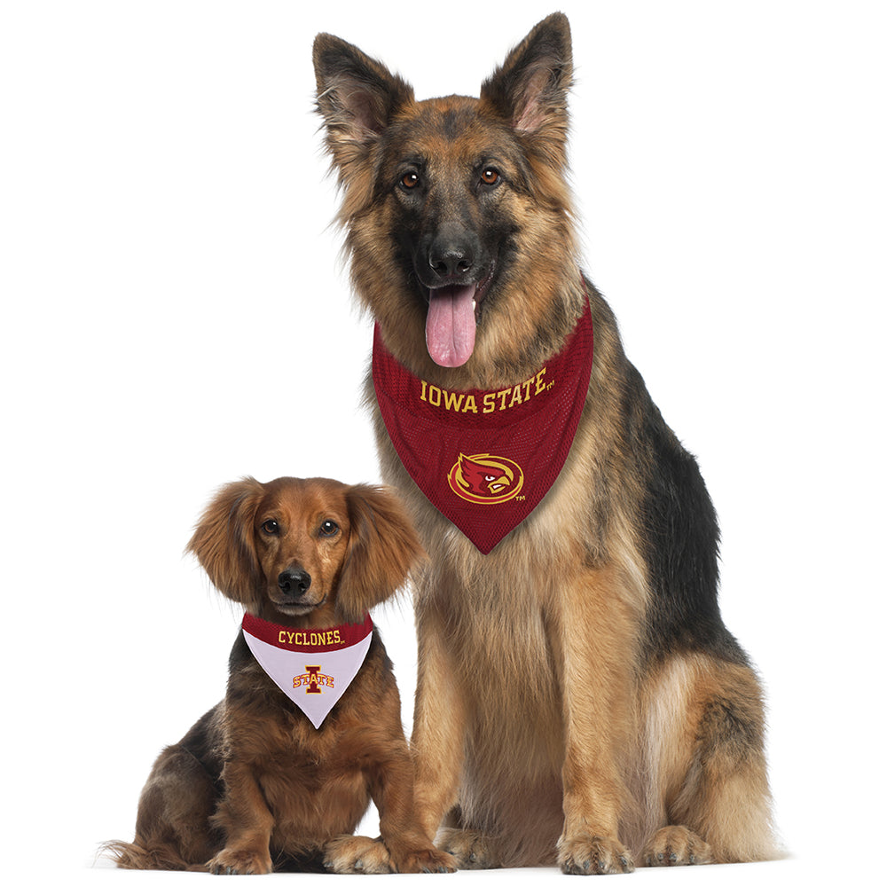 Iowa State Cyclones Reversible Bandana Pets First