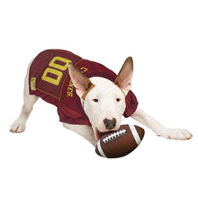 Iowa State Dog Jersey Pets First