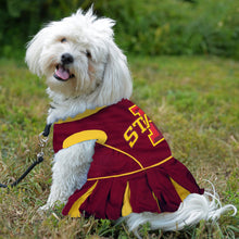Iowa State Cheerleader Dog Dress Pets First