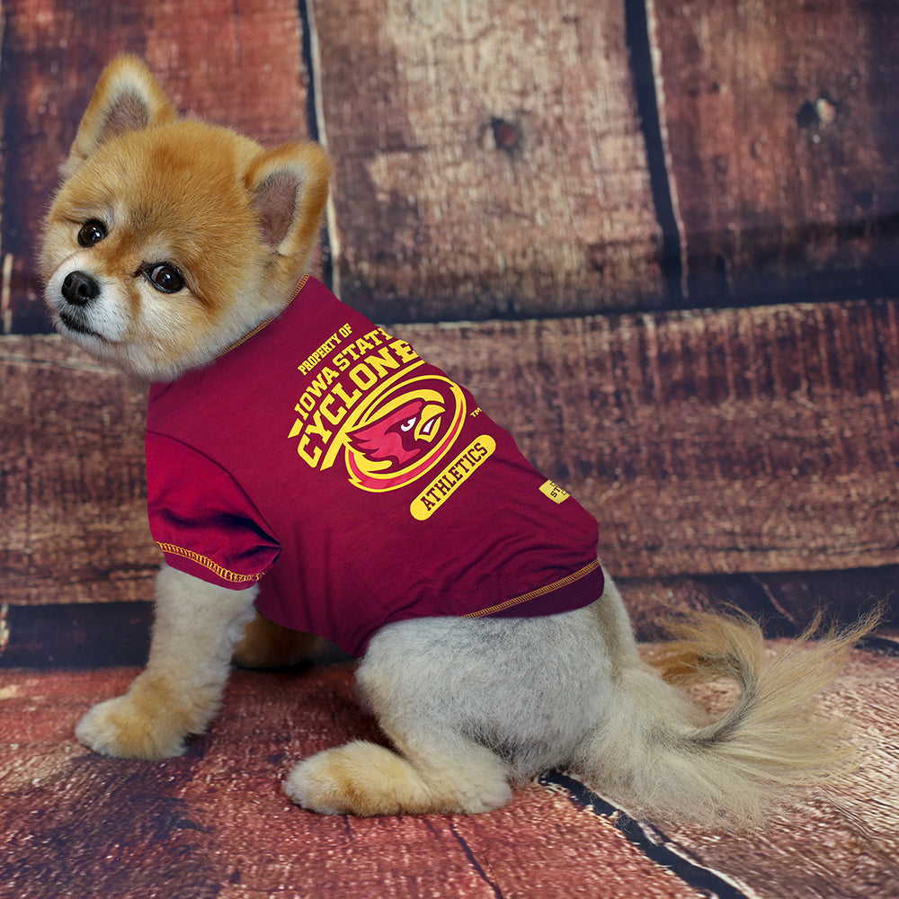 Iowa State Cyclones Dog Tee Shirt Pets First