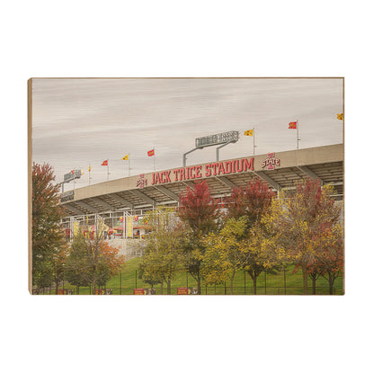 Iowa State Cyclones - Autumn Jack Trice