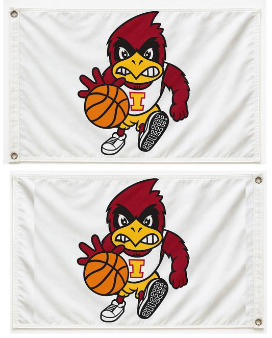 Iowa State Flag Basketball Cy 2 Sided 2x3
