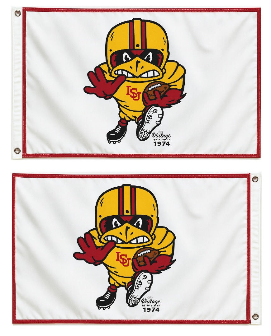 Iowa State Flag Vintage Cy 2 Sided 2x3