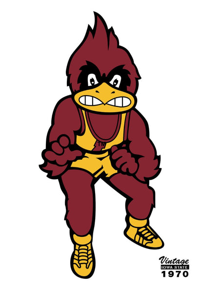 Iowa State Wrestling 2 Sided Banner