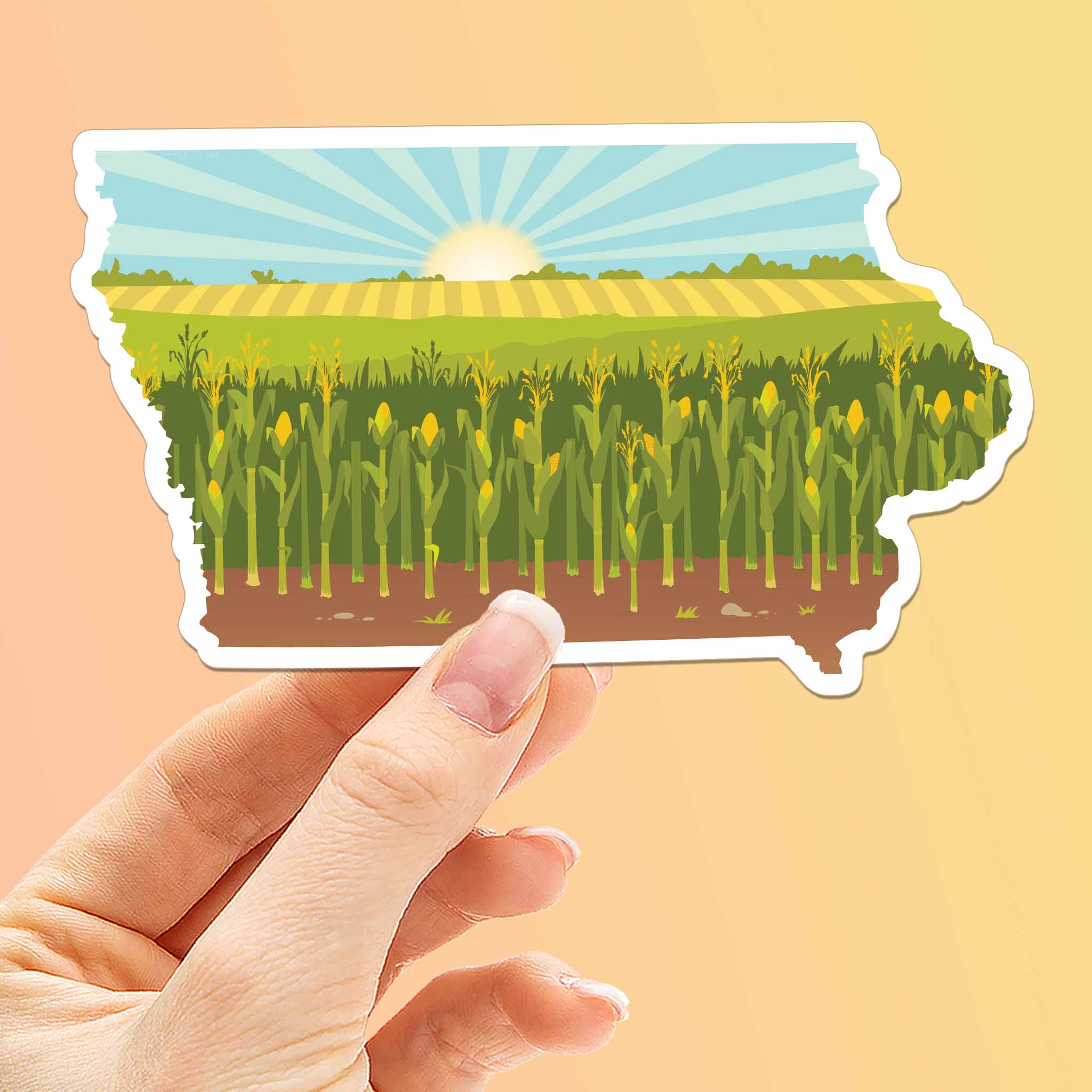 Iowa Corn Bumper Sticker - Cute Midwest Farm Decal – Cyclone Fanatic Shop