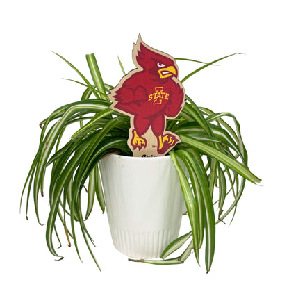 Iowa State University Cardinal Color Plant Stake