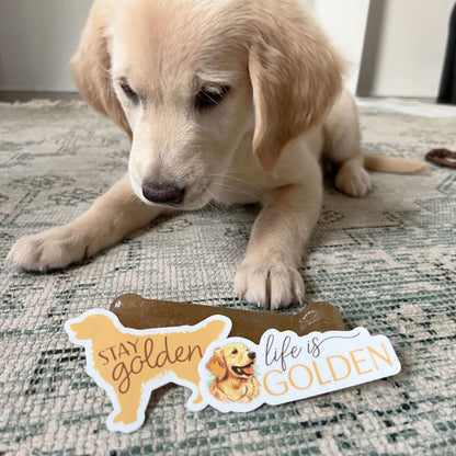 Stay Golden - Cute Golden Retriever Dog Sticker