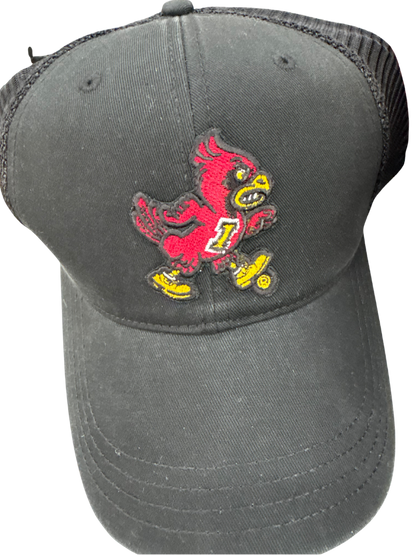 Sideline Walking Cy Trucker