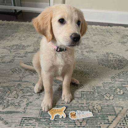 Life is Golden - Cute Golden Retriever Dog Sticker