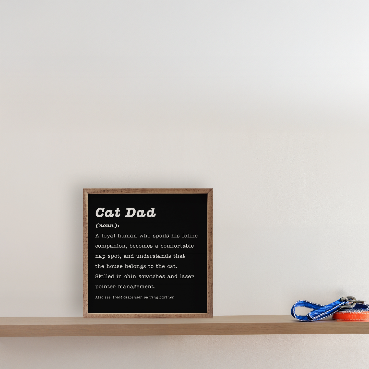 Cat Dad Definition